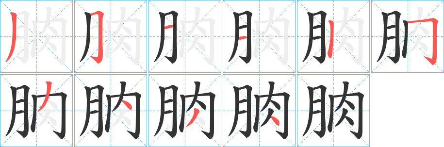 朒的筆順筆畫(huà)