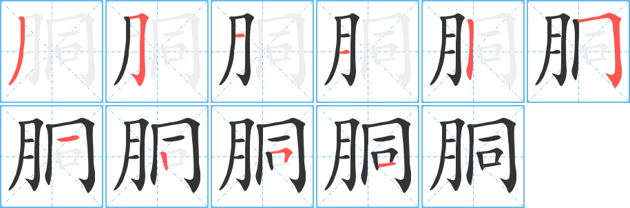 胴的筆順筆畫