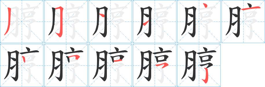 脝的筆順筆畫(huà)