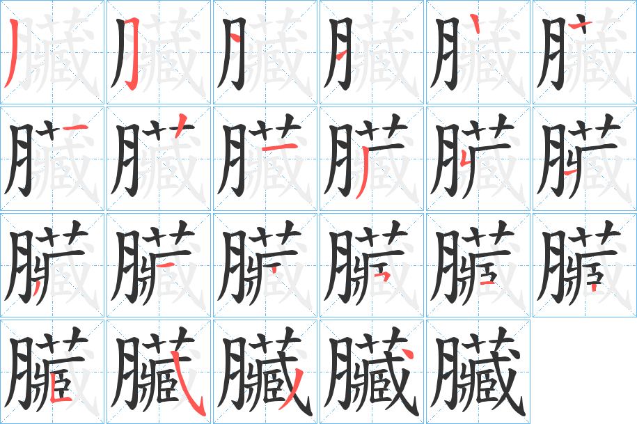 臟的筆順筆畫